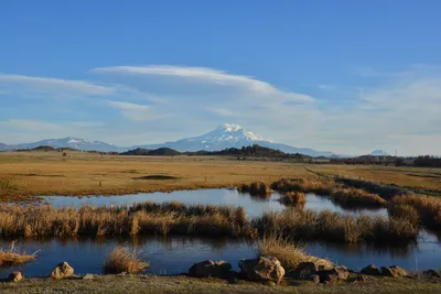 DSC_5992 (Large).JPG